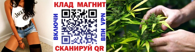 НБОМе Зубцов