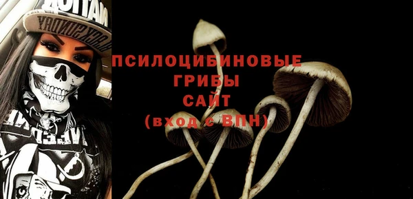 герыч Осинники